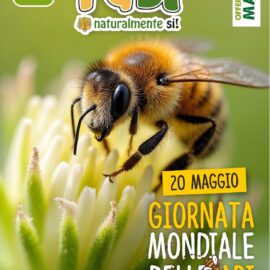 Volantino offerte