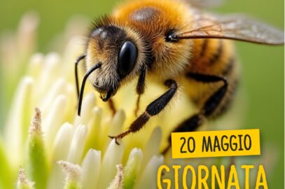 Volantino offerte